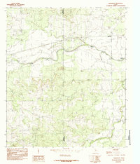 Download a high-resolution, GPS-compatible USGS topo map for Tankersley, TX (1984 edition)