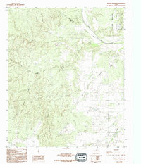 Download a high-resolution, GPS-compatible USGS topo map for Teacup Mountain, TX (1995 edition)