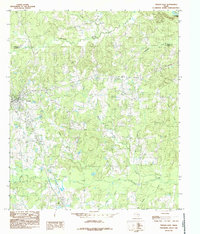 Download a high-resolution, GPS-compatible USGS topo map for Tenaha East, TX (1985 edition)