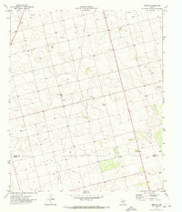 Download a high-resolution, GPS-compatible USGS topo map for Tenmile, TX (1973 edition)