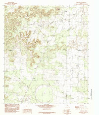 Download a high-resolution, GPS-compatible USGS topo map for Tennyson, TX (1984 edition)