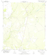 Download a high-resolution, GPS-compatible USGS topo map for Tequesquite Spring, TX (1978 edition)
