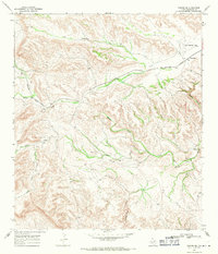 Download a high-resolution, GPS-compatible USGS topo map for Tesnus SE, TX (1971 edition)