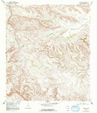 Download a high-resolution, GPS-compatible USGS topo map for Tesnus SE, TX (1992 edition)