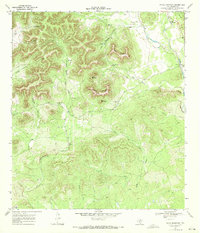 Download a high-resolution, GPS-compatible USGS topo map for Texas Mountain, TX (1972 edition)