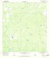 Download a high-resolution, GPS-compatible USGS topo map for The White Kitchen, TX (1972 edition)