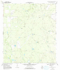 Download a high-resolution, GPS-compatible USGS topo map for The White Kitchen, TX (1991 edition)
