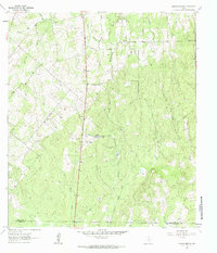 Download a high-resolution, GPS-compatible USGS topo map for Thomas Springs, TX (1985 edition)