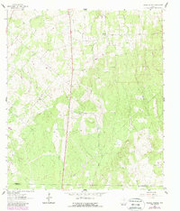 Download a high-resolution, GPS-compatible USGS topo map for Thomas Springs, TX (1987 edition)
