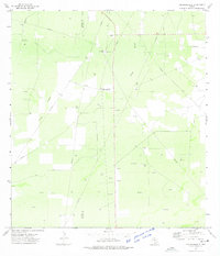 Download a high-resolution, GPS-compatible USGS topo map for Thompsonville, TX (1975 edition)