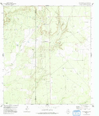 Download a high-resolution, GPS-compatible USGS topo map for Thompsonville, TX (1992 edition)