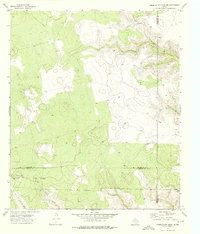 Download a high-resolution, GPS-compatible USGS topo map for Three Bluff Draw NE, TX (1976 edition)