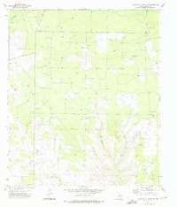 Download a high-resolution, GPS-compatible USGS topo map for Three Bluff Draw SW, TX (1976 edition)