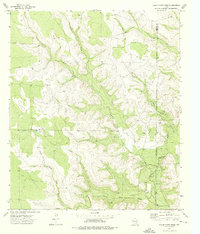 Download a high-resolution, GPS-compatible USGS topo map for Three Bluff Draw, TX (1976 edition)