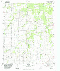 Download a high-resolution, GPS-compatible USGS topo map for Tigertown, TX (1985 edition)