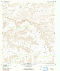 Download a high-resolution, GPS-compatible USGS topo map for Toms Canyon, TX (1992 edition)