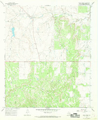Download a high-resolution, GPS-compatible USGS topo map for Tonk Creek, TX (1969 edition)