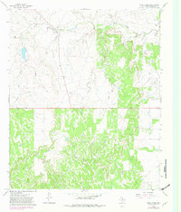 Download a high-resolution, GPS-compatible USGS topo map for Tonk Creek, TX (1982 edition)