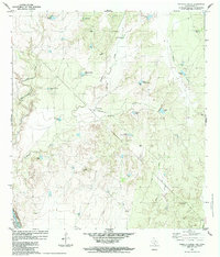 preview thumbnail of historical topo map of Webb County, TX in 1984