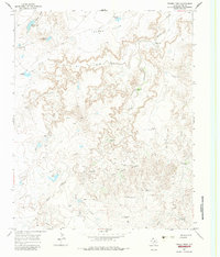 Download a high-resolution, GPS-compatible USGS topo map for Torrey Peak, TX (1984 edition)