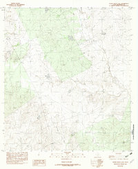 preview thumbnail of historical topo map of Maverick County, TX in 1982