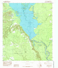 Download a high-resolution, GPS-compatible USGS topo map for Town Bluff, TX (1985 edition)