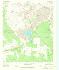 Download a high-resolution, GPS-compatible USGS topo map for Toyah Lake, TX (1966 edition)