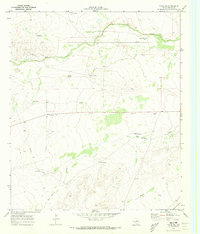 Download a high-resolution, GPS-compatible USGS topo map for Toyah SW, TX (1973 edition)