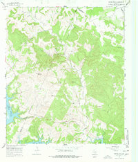 Download a high-resolution, GPS-compatible USGS topo map for Travis Peak, TX (1977 edition)