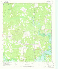 Download a high-resolution, GPS-compatible USGS topo map for Trees, TX (1975 edition)