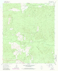 Download a high-resolution, GPS-compatible USGS topo map for Trevat, TX (1984 edition)