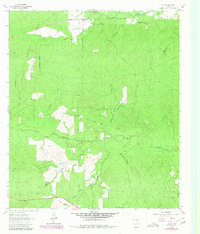 Download a high-resolution, GPS-compatible USGS topo map for Trevat, TX (1980 edition)