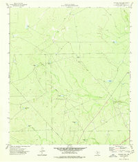 Download a high-resolution, GPS-compatible USGS topo map for Trosado Tank, TX (1977 edition)
