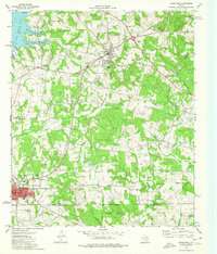 Download a high-resolution, GPS-compatible USGS topo map for Troup East, TX (1976 edition)