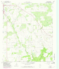Download a high-resolution, GPS-compatible USGS topo map for True, TX (1982 edition)