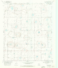 Download a high-resolution, GPS-compatible USGS topo map for Tule Lake NW, TX (1971 edition)