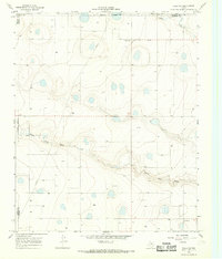 preview thumbnail of historical topo map of Swisher County, TX in 1966