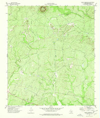 Download a high-resolution, GPS-compatible USGS topo map for Turkey Mountain, TX (1976 edition)