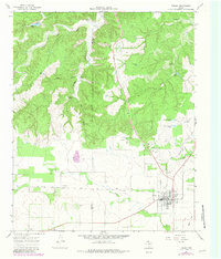 Download a high-resolution, GPS-compatible USGS topo map for Turkey, TX (1981 edition)
