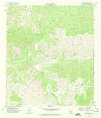 Download a high-resolution, GPS-compatible USGS topo map for Turney Draw SE, TX (1974 edition)