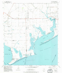 Download a high-resolution, GPS-compatible USGS topo map for Turtle Bay, TX (1995 edition)