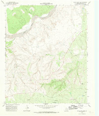Download a high-resolution, GPS-compatible USGS topo map for Turtle Hole Camp, TX (1969 edition)