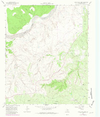 Download a high-resolution, GPS-compatible USGS topo map for Turtle Hole Camp, TX (1981 edition)