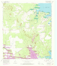 Download a high-resolution, GPS-compatible USGS topo map for Twin Buttes, TX (1978 edition)
