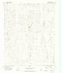 Download a high-resolution, GPS-compatible USGS topo map for Twin Grove, TX (1975 edition)