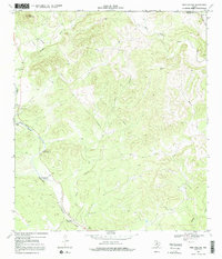 Download a high-resolution, GPS-compatible USGS topo map for Twin Hollow, TX (1992 edition)