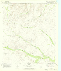Download a high-resolution, GPS-compatible USGS topo map for Two Mill Draw East, TX (1976 edition)