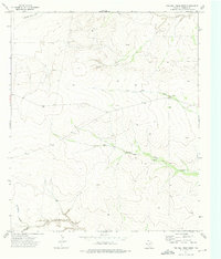 Download a high-resolution, GPS-compatible USGS topo map for Two Mill Draw West, TX (1976 edition)