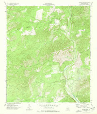 Download a high-resolution, GPS-compatible USGS topo map for Twomile Draw, TX (1976 edition)