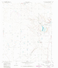 Download a high-resolution, GPS-compatible USGS topo map for Upper White Lake, TX (1981 edition)